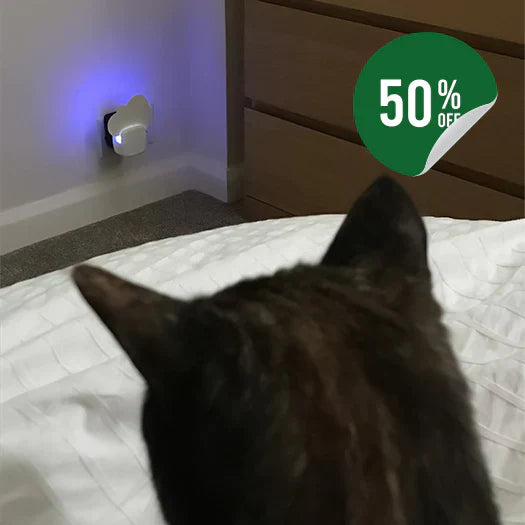 ZoviUV | UV-Insektenfalle – Plug & Play Mückenschutz